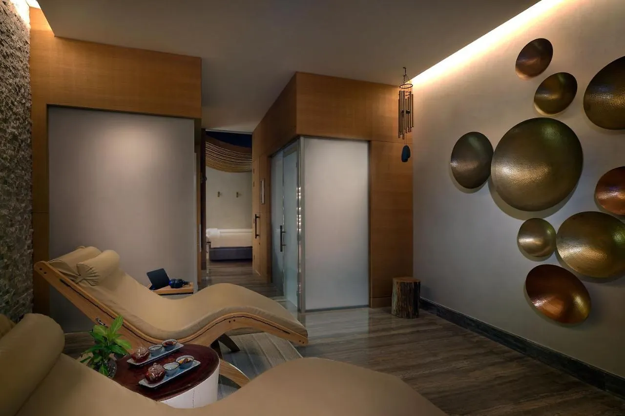 Hotel The St. Regis Downtown Dubai